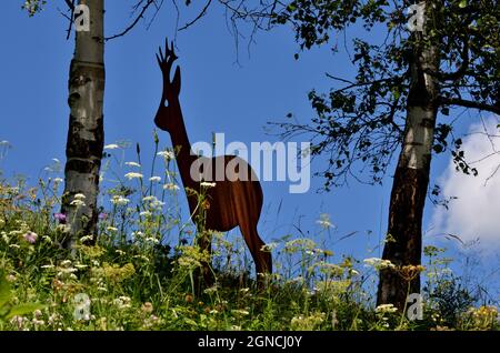 Una silhouette di cervo tra gli alberi nel prato fiorito sui monti Tesido Foto Stock