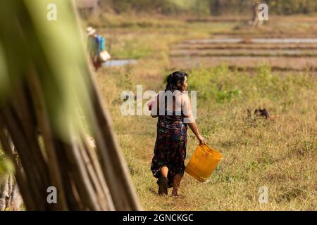 Stato Shan, Myanmar - 05 gennaio 2020: Ritratto di una donna birmana, a piedi dopo aver fatto un bagno con acqua, tra i campi vicino al lago Inle Foto Stock