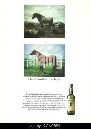 Jameson premium Irish whiskey whisky vintage advert advert ad 1970 1980 Foto Stock