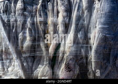 Sacchetti di plastica e altri rifiuti dietro un grande magazzino a catena di scatole. Foto Stock