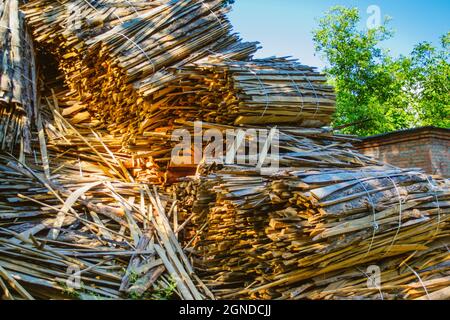 enorme mucchio di legname di grandi dimensioni sbarre dalla foresta Foto Stock