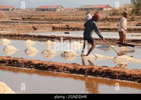 KAMPOT, CAMBOGIA - 24 gennaio 2020: La gente Khmer che raccoglie il sale manualmente nei campi di sale famosi di Kampot, Cambogia Foto Stock