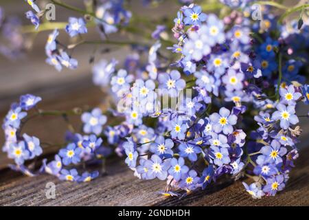 Fiori teneri parzialmente sfocati su una superficie rustica in legno. Un bouquet di dimenticare-me-non sui vecchi assi rustici Foto Stock