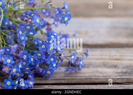 Fiori teneri parzialmente sfocati su una superficie rustica in legno. Un bouquet di dimenticare-me-non sulle vecchie tavole. Spazio di copia Foto Stock