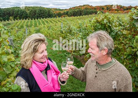 Attraversa la città Michigan, Leelanau Peninsula Willow Vineyards, vigneto coppia uomo donna tostatura bere bicchieri vino Foto Stock