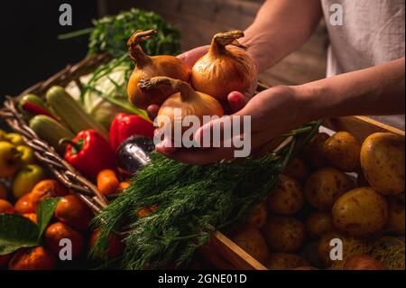 Verdure biologiche. I contadini mani con mele appena raccolte. Mele biologiche fresche. Frutta e verdura mercato Foto Stock