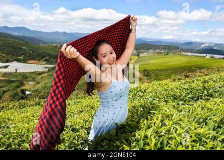 I girasoli selvatici fioriscono nella città di migliaia di fiori a da Lat, Viet Nam Foto Stock