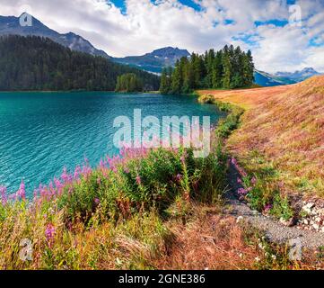 Mattinata estiva soleggiata sul lago di Silvaplana. Grande scena all'aperto nelle Alpi, alta Engadina nel cantone svizzero dei Grigioni, Svizzera, Europa. Artistico Foto Stock