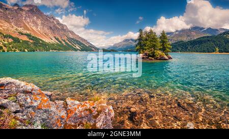 Piccola isola sul lago di Sils. Colorato panorama mattutino delle Alpi svizzere, passo Maloja, alta Engadina nel cantone dei Grigioni, Svizzera, Europa. Arte Foto Stock