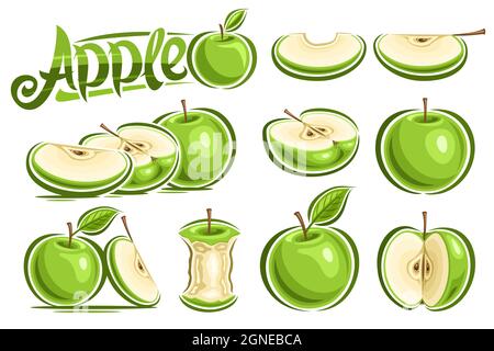 Set vettoriale di mele verdi, raccolta di lotti di illustrazioni ritagliate mele naturali intere e affettate con foglia di disegno cartoon e gambo su backgrou bianco Illustrazione Vettoriale