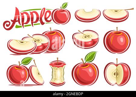 Set vettoriale di mele rosse, raccolta di lotti di composizioni tagliate in natura, mele naturali intere e tagliate a fette con foglie verdi e gambi sul dorso bianco Illustrazione Vettoriale