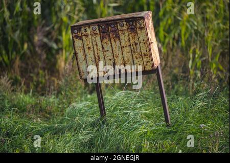 una vecchia cassetta postale gialla arrugginita da un campo di mais in una giornata di sole e una lunga erba che ondeggiano nel vento sotto la cassetta postale Foto Stock