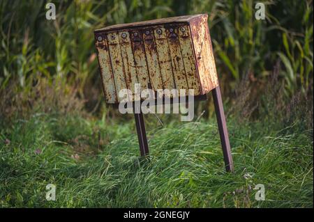 una vecchia cassetta postale gialla arrugginita da un campo di mais in una giornata di sole e una lunga erba che ondeggiano nel vento sotto la cassetta postale Foto Stock