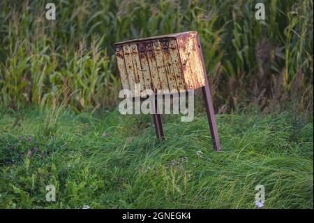 una vecchia cassetta postale gialla arrugginita da un campo di mais in una giornata di sole e una lunga erba che ondeggiano nel vento sotto la cassetta postale Foto Stock