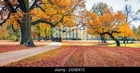 Colorata vista autunnale del Parco Muskau, patrimonio dell'umanità dell'UNESCO. Impressionante scena mattutina della piazza della città di Bad Muskau, regione dell'alta Lusazia, Sassonia, Ger Foto Stock