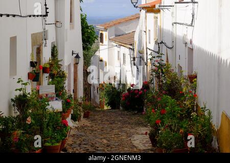 Graziosa via con case bianche e fiori poco prima del tramonto a Castelo de vide, Alentejo, Portogallo Foto Stock