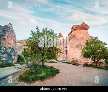 Affascinanti forme fungine di arenaria nel canyon vicino al villaggio di Cavusin, Cappadocia, provincia di Nevsehir nella regione centrale Anatolia della Turchia, Asi Foto Stock