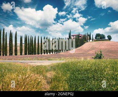 Classica vista toscana con casale e cipressi. Colorata vista estiva della campagna italiana. Concetto di viaggio background. Tono filtro Instagram Foto Stock