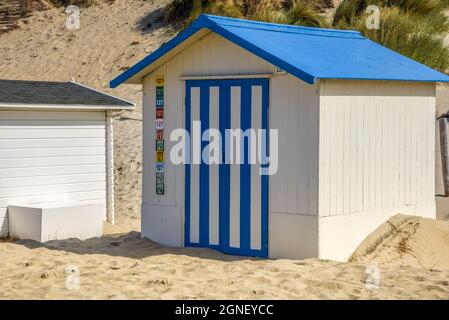 Texel, Paesi Bassi. Agosto 2021. La spiaggia ospita sulla spiaggia dell'Isola di Wadden di Texel. Foto di alta qualità Foto Stock