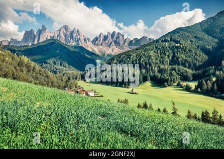 Splendida vista mattutina del villaggio di Santa Maddalena. Splendida scena estiva della Valle di Funes (Villnob) con le montagne del Gruppo Odle sullo sfondo, Dolomiti Alp Foto Stock