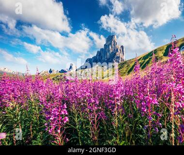 Colorata vista mattutina della vetta Ra Gusela, Averau - gruppo Nuvolau dal Passo di Giau. Luminoso sorgere del sole estivo nelle Alpi Dolomiti, località Cortina d'Ampezzo Foto Stock