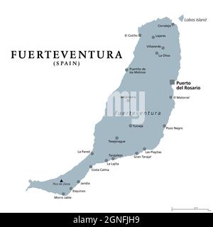 Isola di Fuerteventura, mappa politica grigia con la capitale Puerto del Rosario. Parte delle Isole Canarie, un arcipelago e comunità autonoma della Spagna. Foto Stock