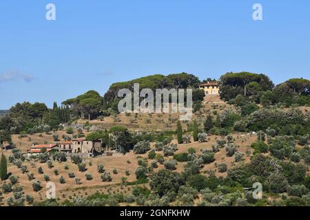 Vista panoramica della campagna collinare toscana con fattorie e campi coltivati in estate, Castagneto Carducci, Toscana, Italia Foto Stock