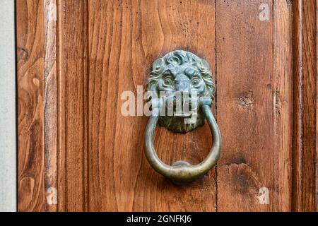 Primo piano di una vecchia porta di legno con un batticalcagno a forma di testa di leone, Toscana, Italia Foto Stock