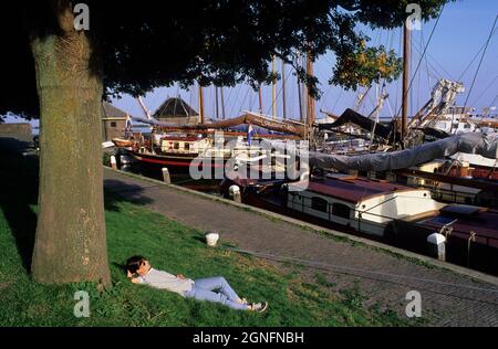 OLANDA, PAESI BASSI, NOORD-HOLLAND E REGIONE DI IJSSELMEER, CITTÀ DI ENKHUIZEN Foto Stock