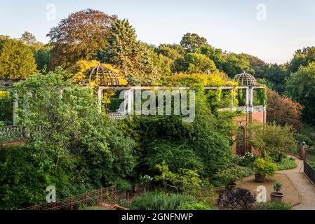 Hampstead Pergola e Hill Gardens, una stravagante costruzione edoardiana, una passerella sopraelevata, coltivata a viti, acquistata nel 1904 da Lord Leverhulm Foto Stock