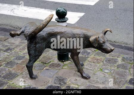 BELGIO, CITTÀ DI BRUXELLES, DISTRETTO DI CENTRO CHIAMATO PENTAGONO E DANSAERT, SCULTURA DI UN CANE CHE PISSES SU RUE DES CHARTREUX Foto Stock