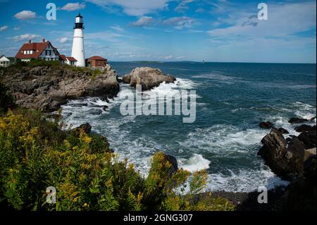 Golden Rod fiori selvatici lungo la costa rocciosa, come le onde dall'alta marea circondano Portland Head faro in una giornata estiva nel Maine. Foto Stock