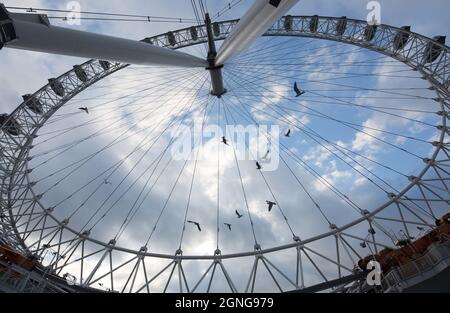 Londra, Riesenrad LONDON EYE Durchblick zum Himmel Foto Stock