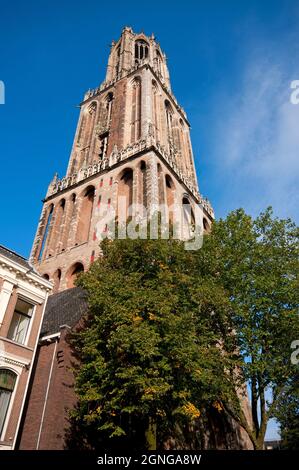 Il Domtoren (il campanile della Cattedrale di San Martino, 112 m, il più alto dei Paesi Bassi), Utrecht, Paesi Bassi Foto Stock