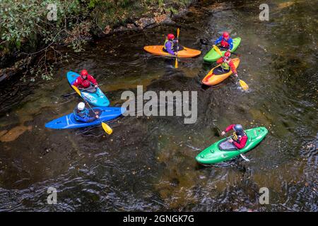 Inghilterra, Regno Unito - Ottobre 2018: Vista aerea dall'alto di un gruppo di kayakers lungo il fiume Dart nel Parco Nazionale di Dartmoor, Inghilterra Foto Stock