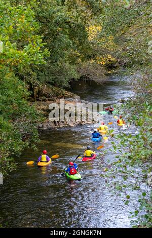 Inghilterra, Regno Unito - Ottobre 2018: Vista aerea dall'alto di un gruppo di kayakers lungo il fiume Dart nel Parco Nazionale di Dartmoor, Inghilterra Foto Stock