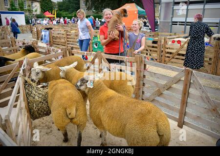 Masham Sheep Fair North Yorkshire Inghilterra Foto Stock