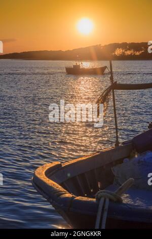 Costa del Salento: Vista al tramonto del porto di Porto Cesareo in Puglia. Sullo sfondo l'isola dei conigli. Foto Stock