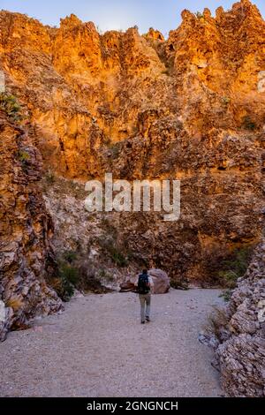 Escursionista che si dirige verso il basso Un lavaggio a secco nel Parco Nazionale di Big Bend Foto Stock