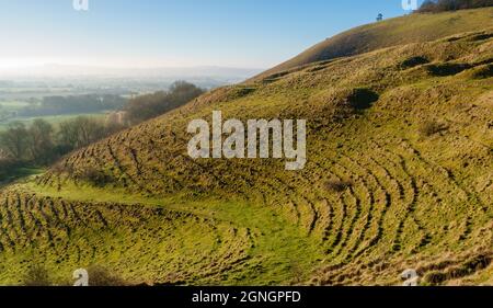 Vista dall'alto del versante orientale di Martinsell Hill Fort a Pewsey vale vicino a Marlborough, Wiltshire, North Wessex Downs AONB Foto Stock