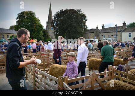 Masham Sheep Fair 2021 North Yorkshire Inghilterra Foto Stock
