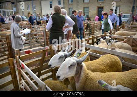 Masham Sheep Fair 2021 North Yorkshire Inghilterra Foto Stock