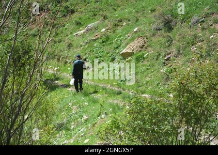 vecchio uomo con sacco in mano per escursioni attraverso le montagne di primavera, concetto di attività ricreative in età avanzata o la raccolta di piante selvatiche. Foto Stock