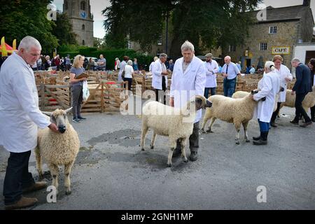 Masham Sheep Fair 2021 North Yorkshire Inghilterra Foto Stock