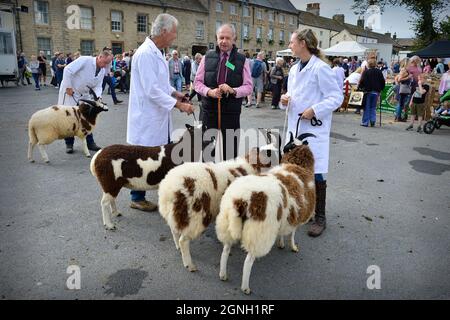 Masham Sheep Fair 2021 North Yorkshire Inghilterra Foto Stock