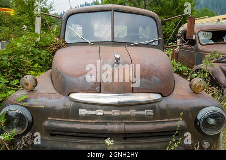 La parte anteriore di un carrello Rusty 1949 Dodge RAM Foto Stock