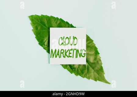 Testo della scrittura Cloud Marketing, Conceptual photo il processo di un'organizzazione per commercializzare i loro servizi creazione di natura tema Blog contenuto, prevenire Foto Stock