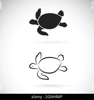 Vettore di due tartarughe su sfondo bianco. Illustrazione vettoriale a livelli facilmente modificabile. Animali selvatici. Rettili. Anfibi. Illustrazione Vettoriale