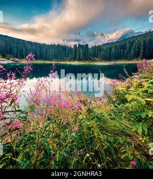 Incredibile vista estiva del lago Carezza (Karersee). Incredibile scena mattutina delle Alpi Dolomiti, provincia di Bolzano, Alto Adige, Italia, Europa. Bellezza di Foto Stock