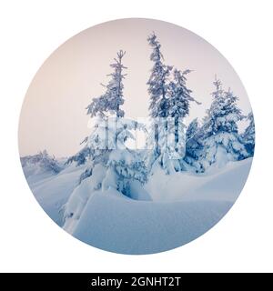 Icona rotonda della natura con paesaggio. Luminosa mattinata d'inverno sui monti Carpazi con abeti innevati. Fotografia in cerchio. Foto Stock